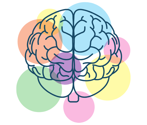 Illustration d’un cerveau entouré de cercles colorés