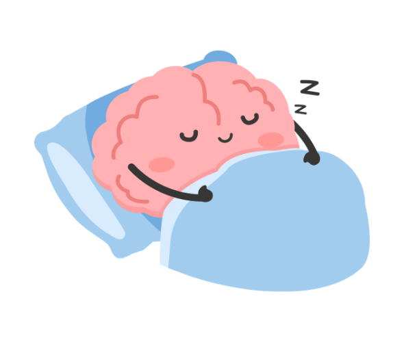 Cerveau souriant dessiné qui dort sous une couverture