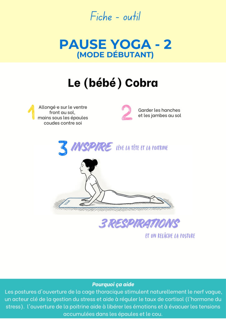 Fiche Pause yoga 2, le bébé cobra : allongé·e sur le ventre, lève la tête et la poitrine, 3 respirations