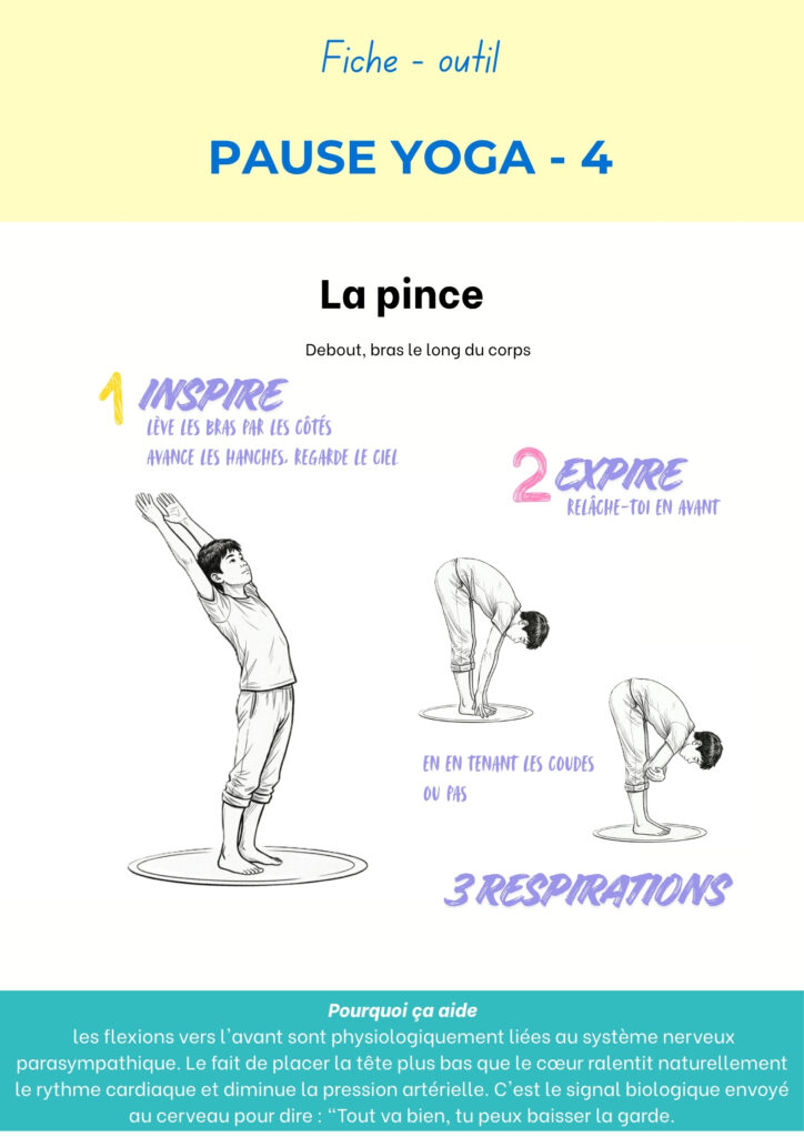 Fiche Pause yoga 4, la pince : inspire bras levés, puis expire en te penchant vers l’avant, 3 respirations