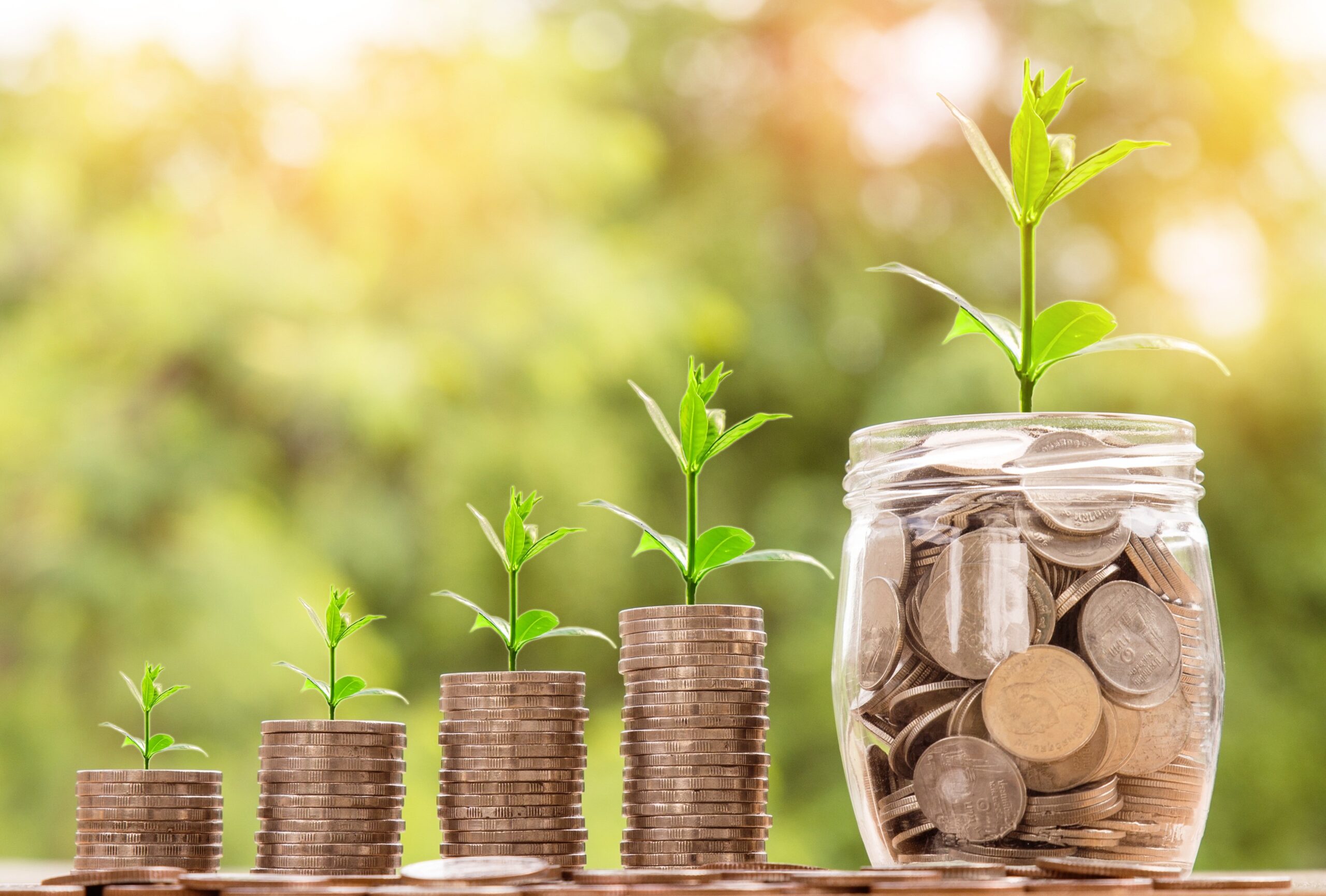 Piles de pièces de monnaie de plus en plus hautes, surmontées de jeunes pousses