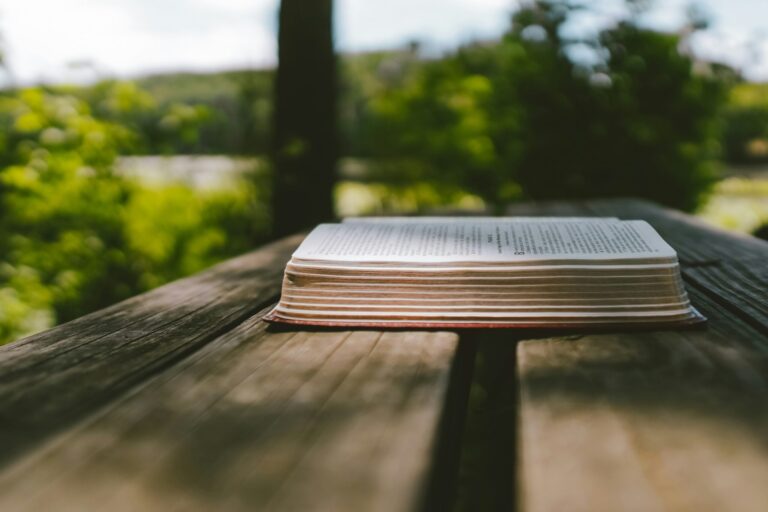 Livre ouvert posé sur une table en bois, dans un décor de verdure